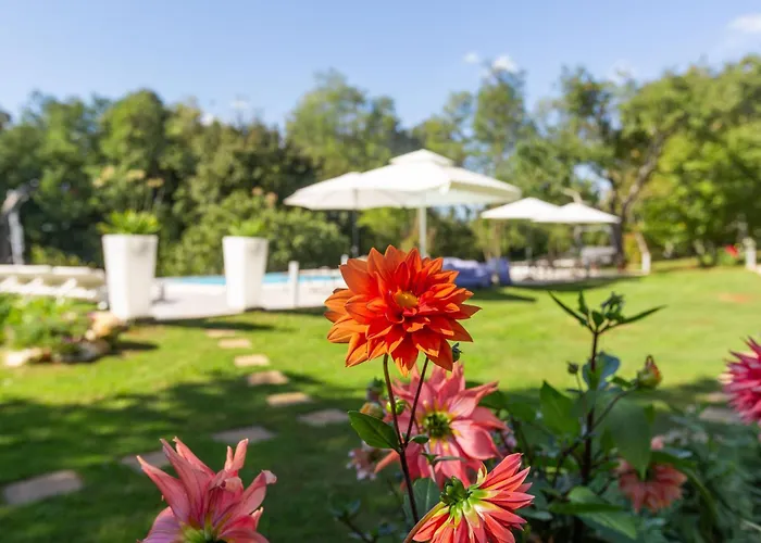 Appartement Cetri Hrasta Pićan