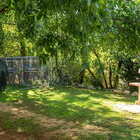 Apartment Cetri Hrasta